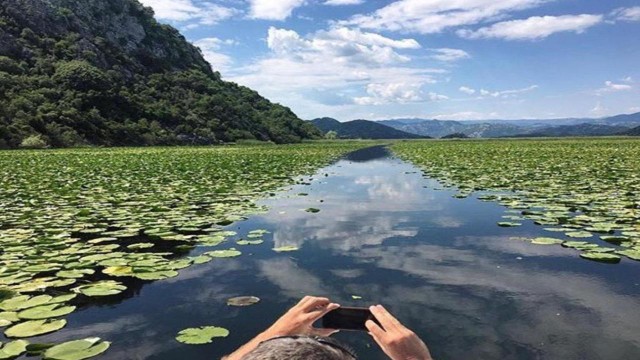 Visit Skadar Lake Discover the Extraordinary with Our Boat Tours in Montenegro