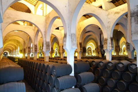 From Conil/Sancti Petri: Excursion to Jerez de la Frontera and Cádiz From Conil/Sancti Petri: Excursion to Jerez de la Frontera and Cádiz (ENG)