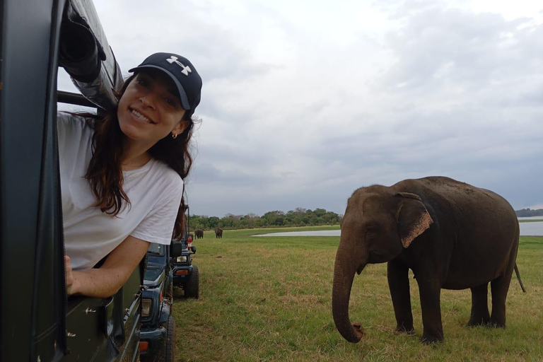 Minneriya: Safari en jeep por el Parque Nacional de Minneriya con servicio de recogida