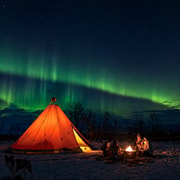 Abisko: Northern Lights Husky Hike