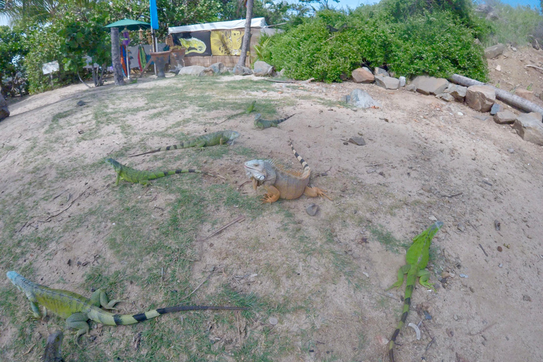 Sint Maarten: Rondleiding op het eiland Pinel met veerboottocht