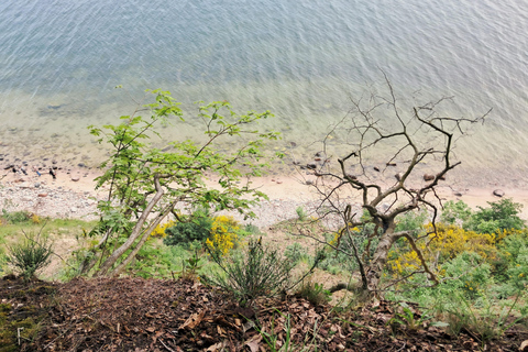 Gdynia: Forest, Cliff, and Beach Guided Walking Tour