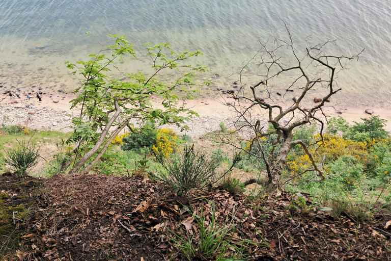 Gdynia: Forest, Cliff, and Beach Guided Walking Tour