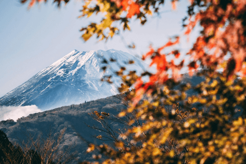 Mount Fuji Full-Day Private Tour from Tokyo (Customizable) Luxury Toyota Crown or SAI