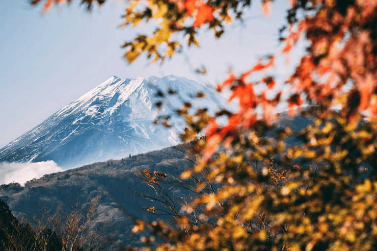 Mount Fuji Full-Day Private Tour from Tokyo (Customizable) Luxury Toyota Crown or SAI