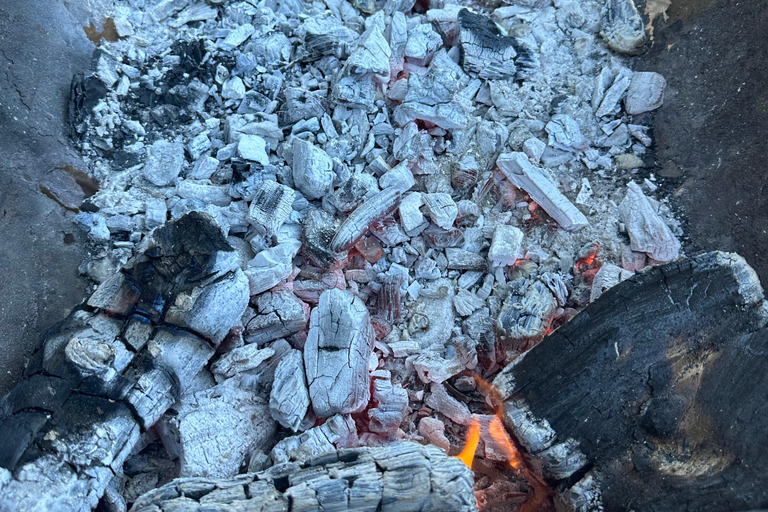 The Andes Mountain Private Chilean BBQ Class with Lunch