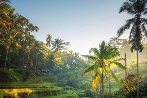 Ubud: Waterfalls, Water Temple, Rice Terrace, Private tours tour without entrance ticket - private tour