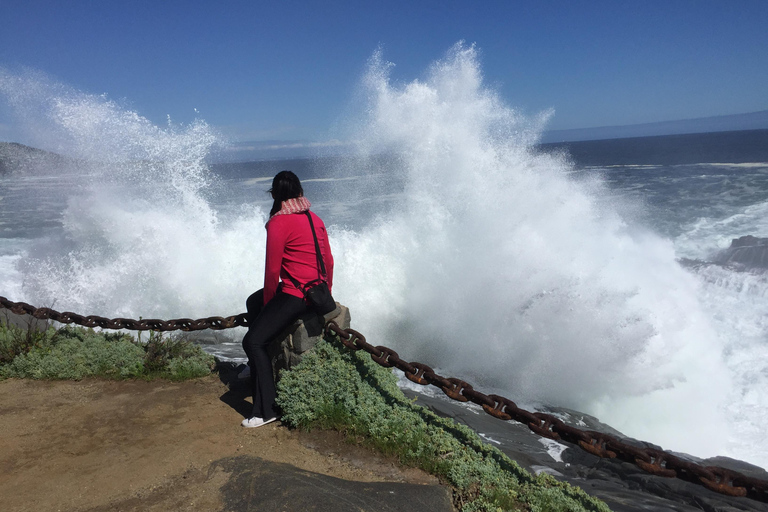 Exclusive Zapallar Walk, Luxury Mansions & Cachagua Wildlife