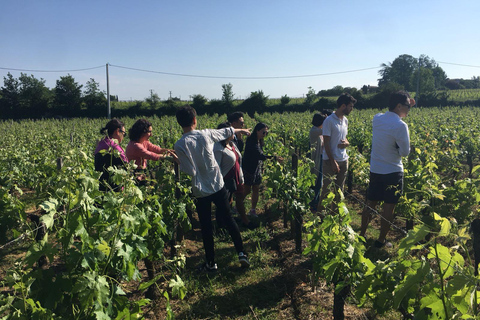Château St-Emilion Grand Cru visit and Grand Cru and Pomerol tasting
