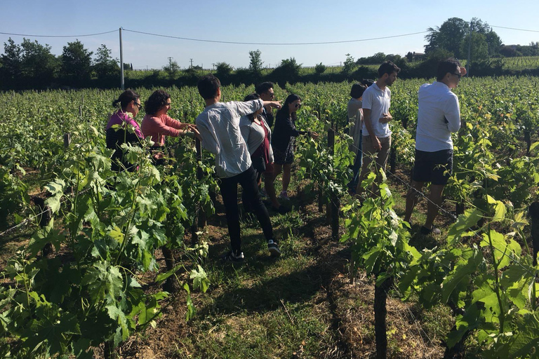 Château St-Emilion Grand Cru visit and Grand Cru and Pomerol tasting