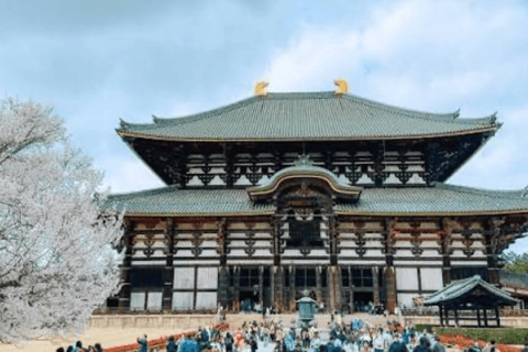 Nara: Private Full-Day Tour with Licensed Guide