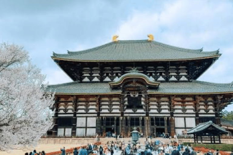 Nara: Private Full-Day Tour with Licensed Guide