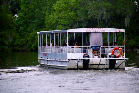 New Orleans: Swamp Tour on Covered Pontoon Boat Covered Swamp Tour without Transportation