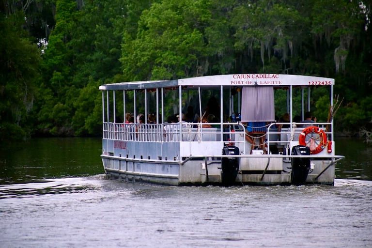 New Orleans: Swamp Tour on Covered Pontoon Boat Covered Swamp Tour with Transportation