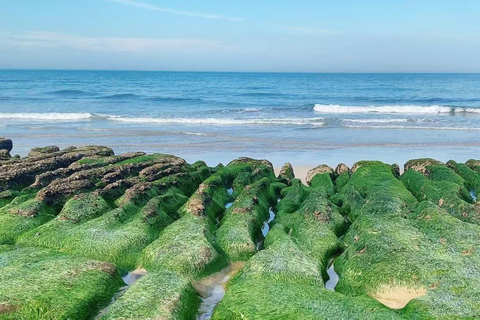 Taipei: Yehliu, Jinshan, and Juming Museum Day Trip 10-hour journey {eight-seater business car}