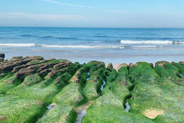 Taipei: Yehliu, Jinshan, and Juming Museum Day Trip 10-hour journey {eight-seater business car}