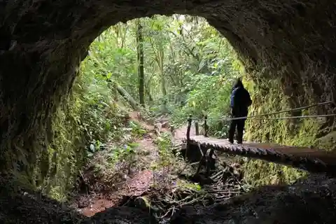 Cascada de Santa Rita y Salento Tour privado