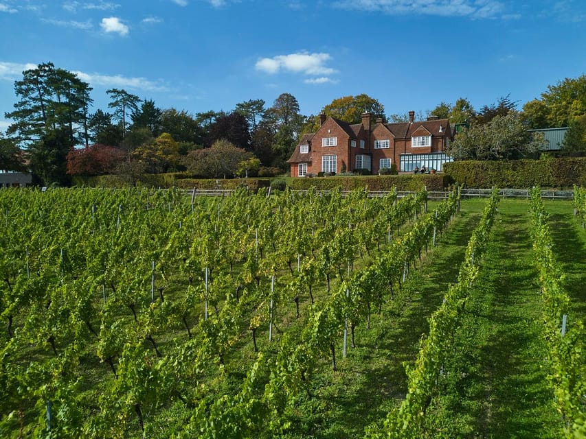 Hambledon vineyard tour and tasting