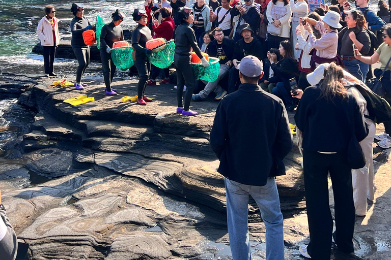 Desde Jeju: excursión a sitios de la UNESCO