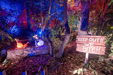 Queenstown: Whimsical Sensory Night Walk at LUMA Enchanted LUMA Enchanted - sensory illuminated walk