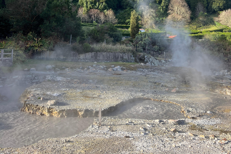 Ponta Delgada: Private Furnas Valley Shore Excursion
