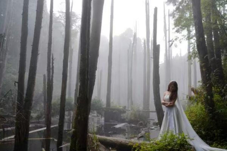 台中：望幽森林与山林溪一日游台中：王游森林与山林溪公园一日游