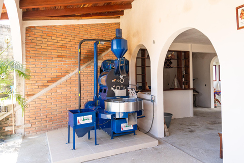 Huatulco: Pluma Hidalgo Coffee Origin and Essence.