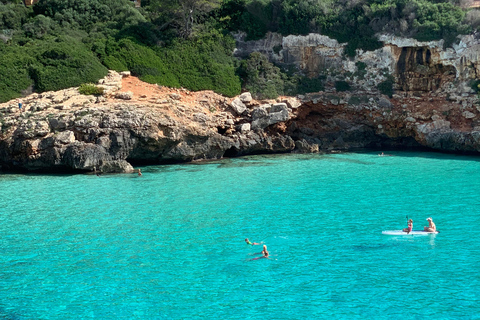 Majorque : Visite privée - Grottes, plages et vins