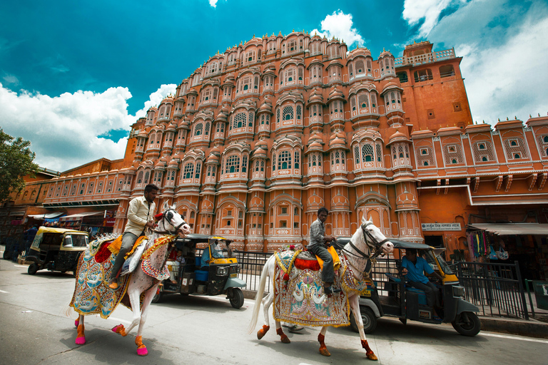 Vanuit Delhi: Jaipur eendaags tourpakket met de auto