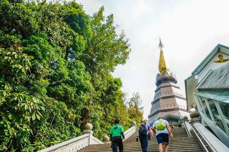 Doi Inthanon : excursion en petit groupe au parc nationalVisite en petit groupe sans les frais d'entrée