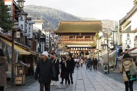 Vanuit Tokio/Nagano: Luxe Sneeuw Aap Privé Hele Dag Tour