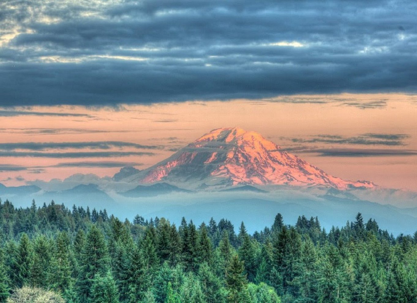 Seattle: Mount Rainier Park All-Inclusive tur med en lille gruppe