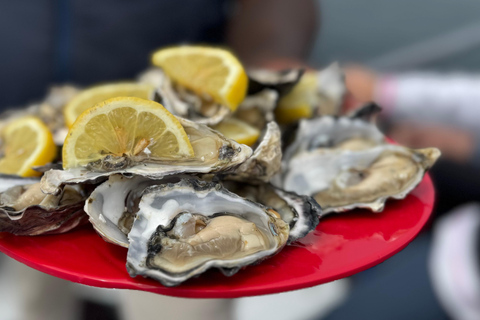 Walvis Bay: 4-Day Desert, Ocean, and Adventure Tour