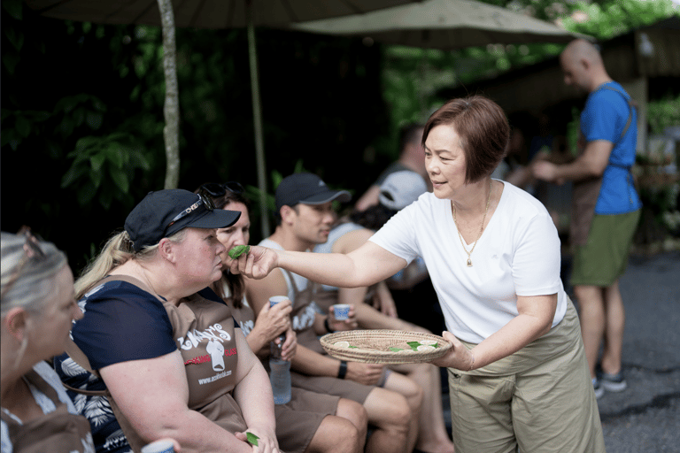 Khao Lak: Halve dag olifantensafari met maaltijd en vervoer van het hotel