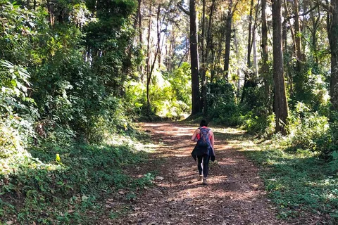 From Antigua Guatemala: Birdwatching and Scenic Hiking Tour