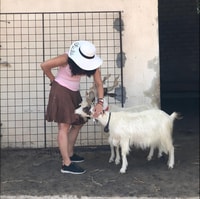 Ervaring met Girgentan -geiten in Agrigento - Housity