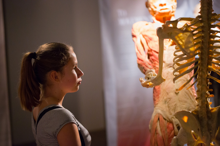 Las Vegas: REAL BODIES at Horseshoe Las Vegas Entry Ticket REAL BODIES Entry Ticket - Peak 7$ OFF