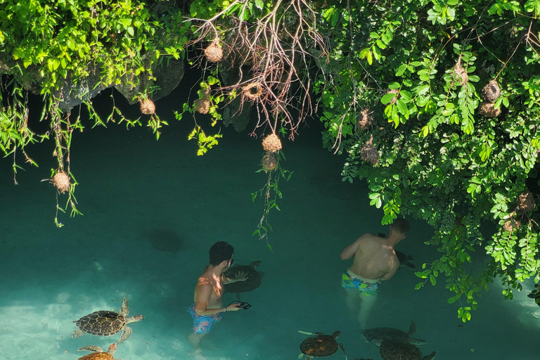 Zanzibar: Jozani forest, Reptile park and Salaam cave tour Private tour with Hotel pick up and drop-off included.