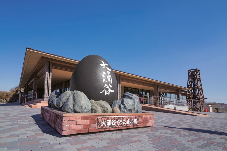 Tokyo: 6-Day Tour with Hotel and Guide