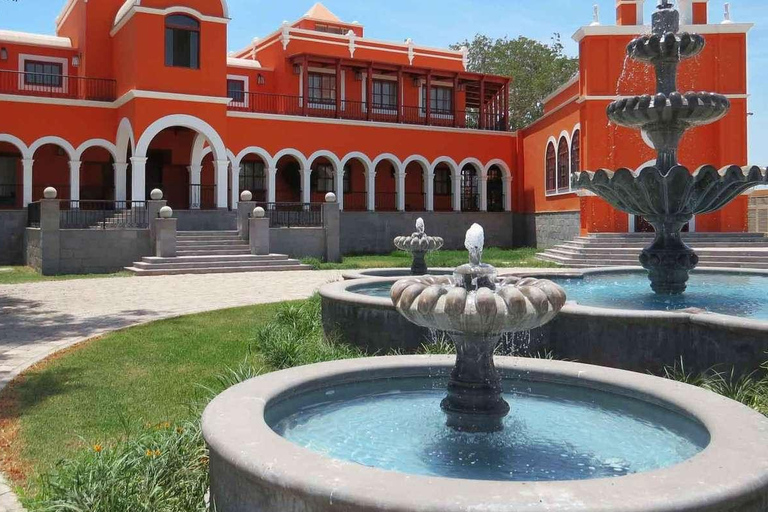 Visita a la Hacienda La Caravedo