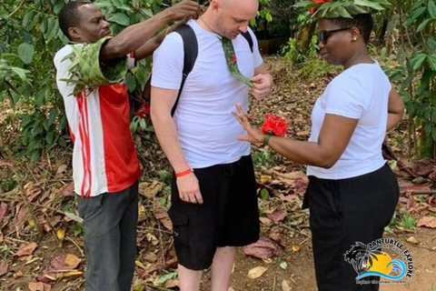 Sansibar: Bio-Gewürzfarm Tour mit traditionellem MittagessenHoteltransfer überall auf Sansibar