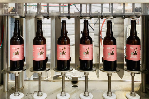 Orléans: Brasserie du Four à Briques – Brewery Experience & Tasting