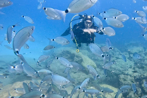 Open Water Diver Kurs - kompakt, zeitsparend, privat