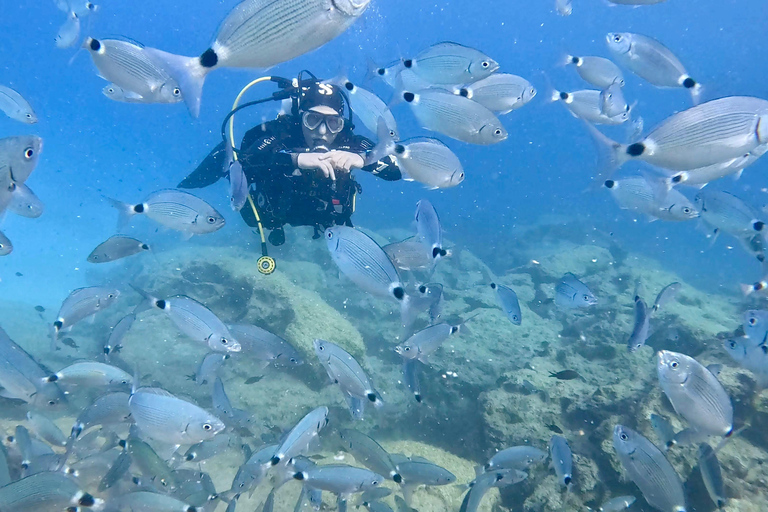 Open Water Diver Kurs - kompakt, zeitsparend, privat