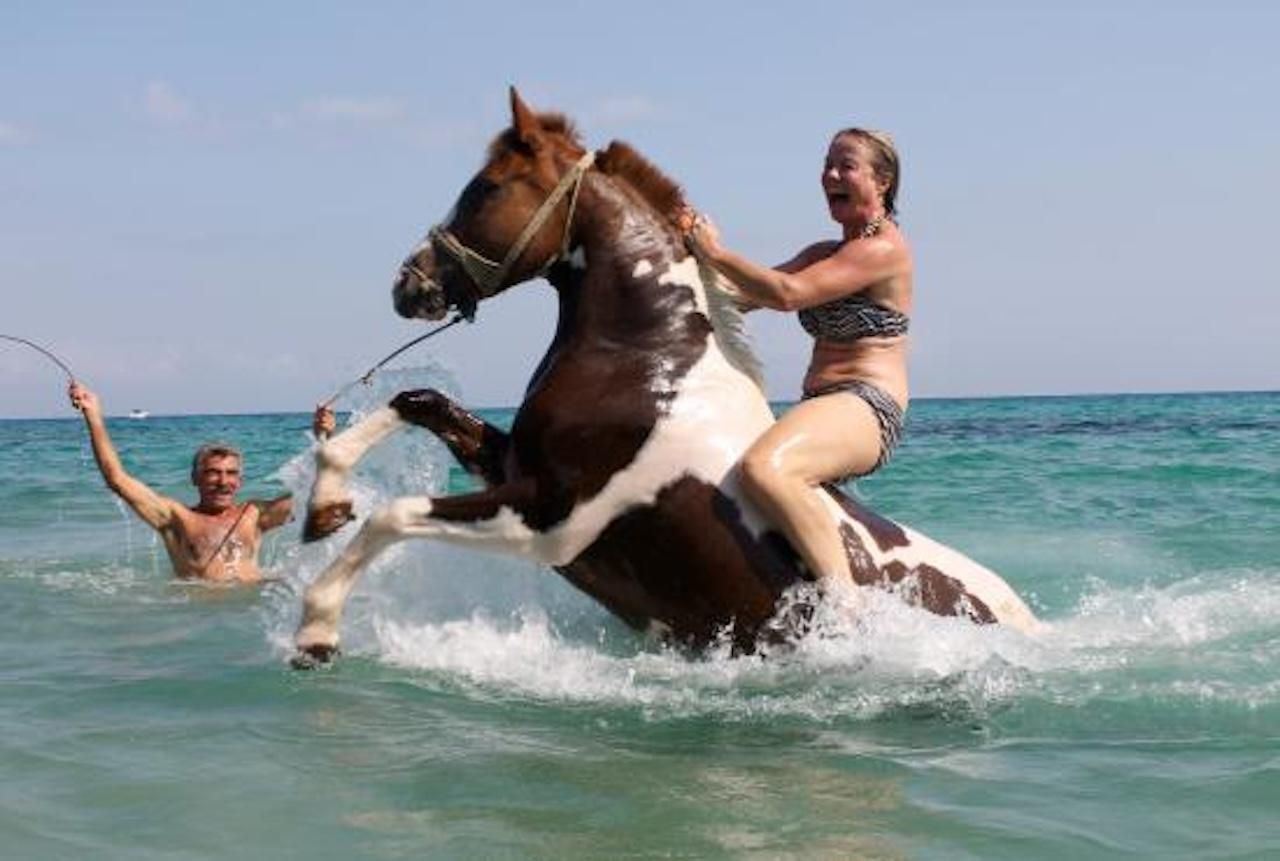 Zakynthos: Reiten und Schwimmen in Yotomu