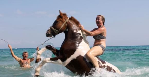 Zakynthos: Yotomu Horse Riding and Swimming Experience