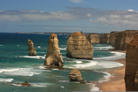 Great Ocean Road Premium Tour - Max 11 Passagiers