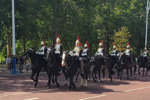 London: Buckingham Palace Walk & Tea at Kensington Palace
