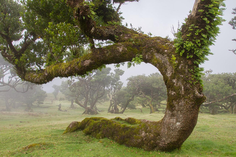 Tour in jeep 4x4 a ovest e nord-ovest di Madeira