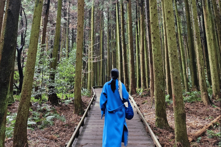 Jeju: UNESCO Sites Tour with Haenyeo Show(Eastern)